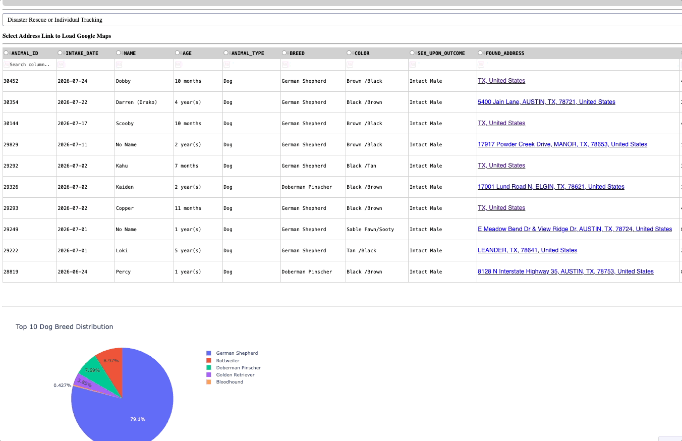 Screen recording of the Grazioso Salvare dashboard: filtering rescue dogs by
                      training type and updating the results table and breed chart